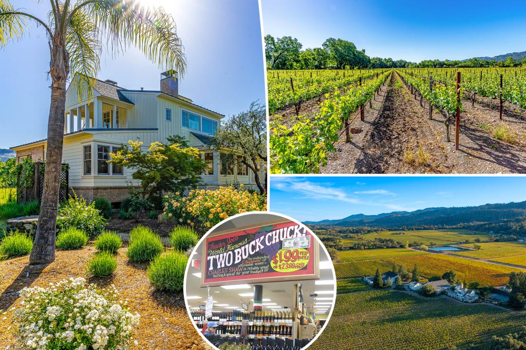 Former Trader Joe's 'Two-Buck Chuck' Winery - Now a Luxury Napa Estate - Goes on the Market for $35M